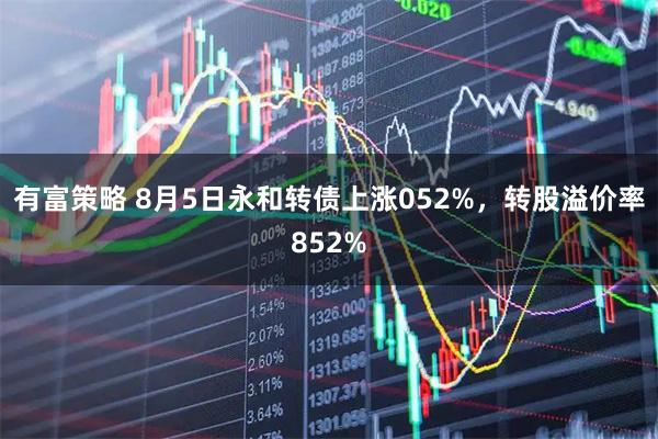 有富策略 8月5日永和转债上涨052%，转股溢价率852%